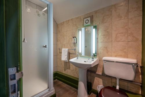 Saint Mary Bourne伯恩谷酒店 的一间带水槽、卫生间和淋浴的浴室