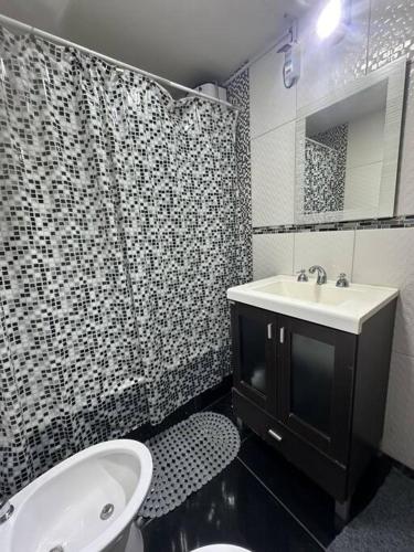 乌斯怀亚Viento del Sur的黑白浴室设有水槽和卫生间