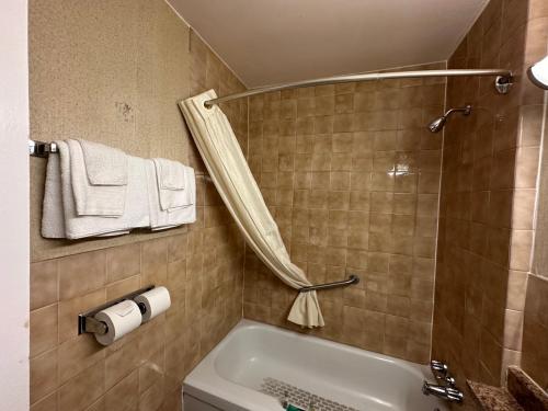 康沃尔HOTEL CLASSIC COMFORT的浴室配有浴缸、淋浴和毛巾。