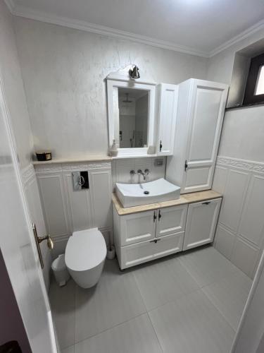 博托沙尼Apartament in Botosani的白色的浴室设有卫生间和水槽。