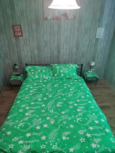 沙勒罗瓦ESCALE DU BOURLINGUEUR的一张带绿棉被的床上,上面有星星