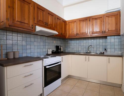 埃尔莫波利斯Cozy Apartment in Hermoupolis的厨房配有木制橱柜和白色家电
