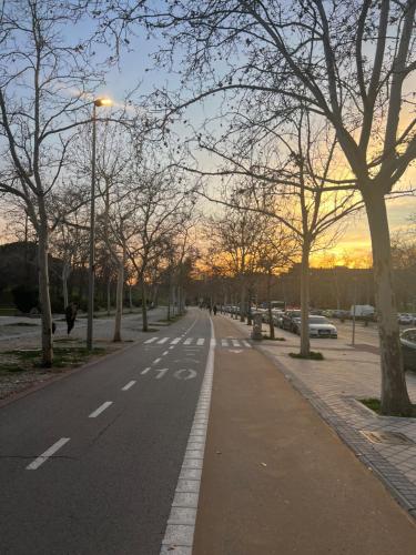 马德里Habitación en Madrid的一条空的街道,路边有树木