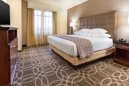 路易斯威尔德鲁路易斯维尔北部套房酒店 的配有一张床和一台平面电视的酒店客房