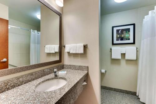 奥兰多Drury Inn & Suites Orlando near Universal Orlando Resort的一间带水槽和镜子的浴室