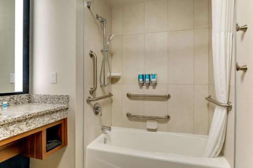 塔拉哈西Drury Plaza Hotel Tallahassee的带淋浴、浴缸和盥洗盆的浴室