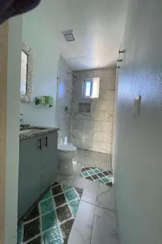 普罗维登西亚莱斯岛Cozyhideaway的带淋浴、卫生间和盥洗盆的浴室