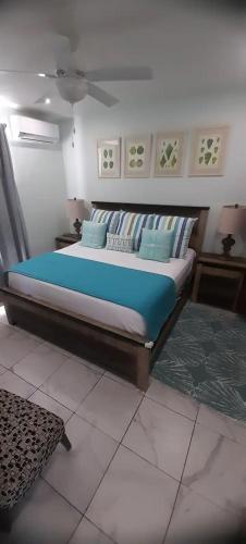 普罗维登西亚莱斯岛Cozyhideaway的一间卧室配有一张带蓝色床单和枕头的床。
