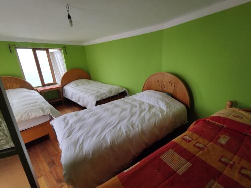 Comunidad YumaniHostal Isla del Sol的绿色的客房设有三张床和窗户。