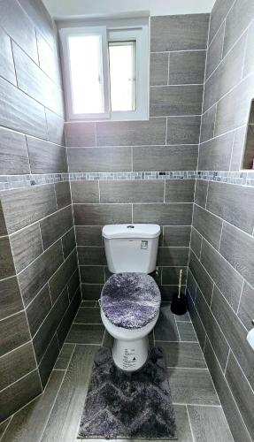 CarriacouIhola's Nest的浴室配有带紫色座椅的卫生间