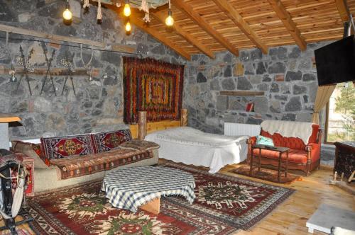SelimDoğunun Taş Evleri的客厅设有石墙