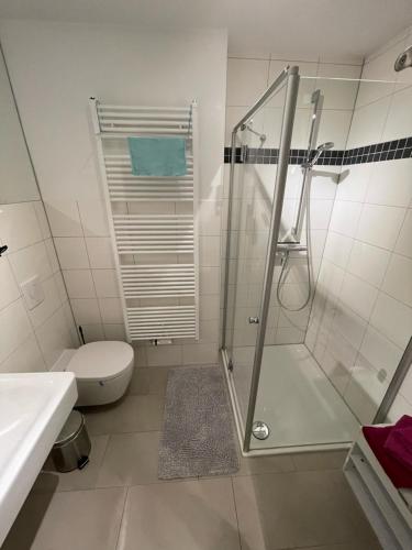 爱尔福特F & W Apartment的带淋浴、卫生间和盥洗盆的浴室