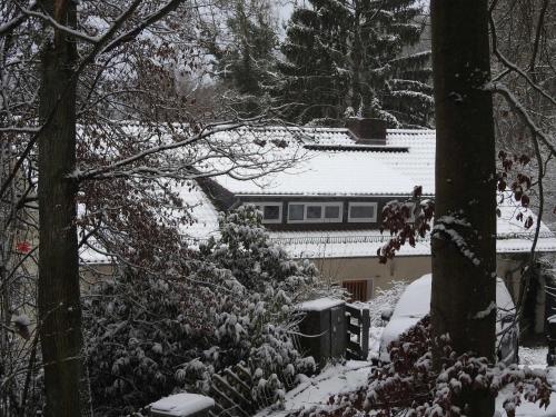 Alte DruselWohnen im Wald的雪盖屋顶的房子