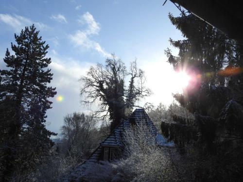 Alte DruselWohnen im Wald的雪中的房子,太阳在后面