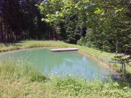 KollnburgQuellenhof Kollnburg的田间中的小池塘