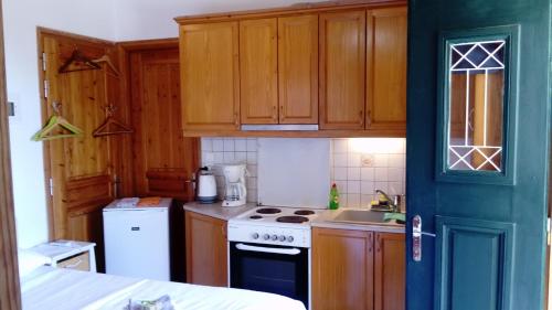 Manganítiszacharoularooms3的厨房配有木制橱柜和炉灶烤箱。