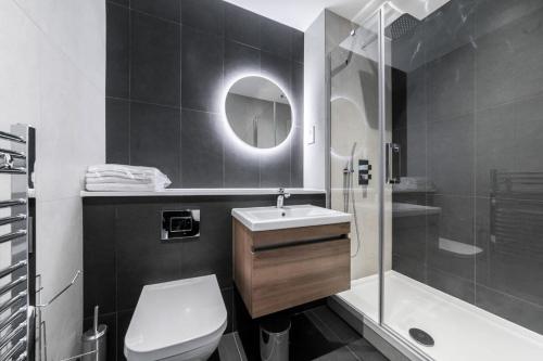 东格林斯特德Lovely Bright Studio Apartment in Central East Grinstead的浴室配有卫生间、盥洗盆和淋浴。
