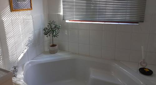 德班维尔19 on Robyn的浴室内有盆栽的白色浴缸