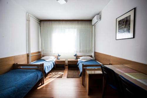 萨格勒布Hostel Arena的客房设有两张床和窗户。