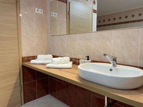 拉什科All Seasons Apartments Laško的浴室设有白色水槽和镜子