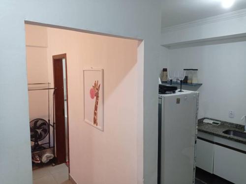 Riacho Fundo(Kit Lucindi)的厨房配有冰箱,墙上挂着一幅画