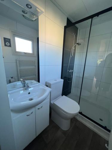 福尔特赫伊曾Chalet 102的浴室配有卫生间、盥洗盆和淋浴。