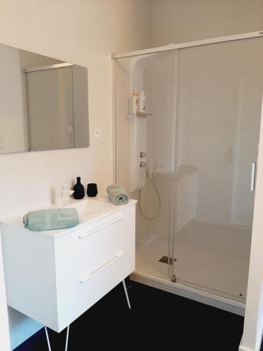勒米尔蒙Chambre privée Au pied des Vosges的浴室配有白色水槽和淋浴。