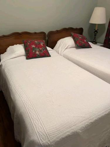 利文斯顿DNB 311的两张带红色枕头的床,彼此相邻