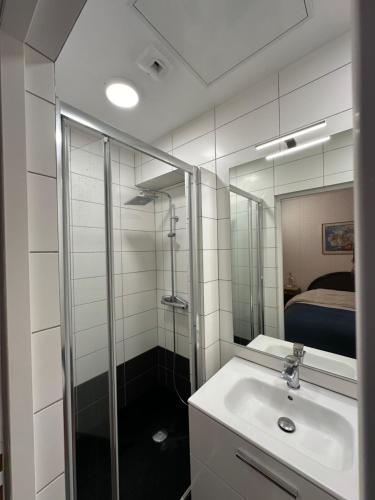 CuffyLe Lodge de Serenite的带淋浴、盥洗盆和镜子的浴室