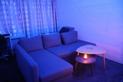 海莱乌Cozy one room apartment的客厅配有蓝色的沙发和桌子