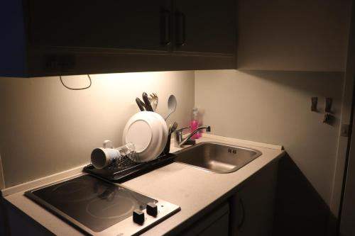 海莱乌Cozy one room apartment的厨房台面上设有水槽和台面