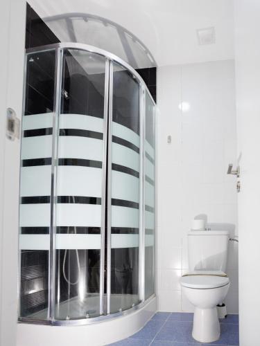 比亚努夫拉Estudio en Villanubla的一间带卫生间的浴室内的玻璃淋浴间