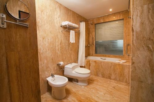 Puerto OrdazEurobuilding Hotel & Suites Guayana的一间带卫生间和水槽的浴室