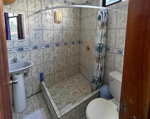 比亚米尔港Hotel Isla del descanso的带淋浴、卫生间和盥洗盆的浴室