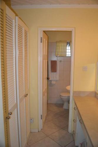 布里奇敦Studio apartment in heart of south coast Barbados的一间带卫生间和水槽的浴室