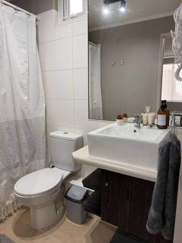 奥索尔诺Moderno Departamento的白色的浴室设有卫生间和水槽。
