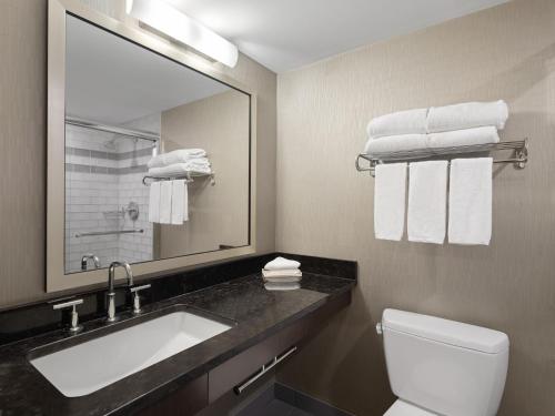 卡尔加里卡尔加里机场假日酒店的一间带水槽、镜子和卫生间的浴室
