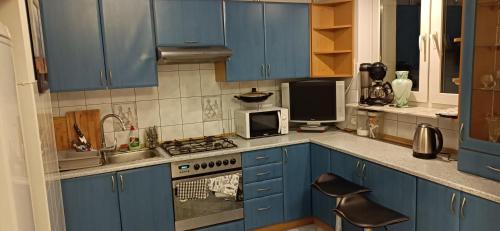 热舒夫Apartament VvGogh 4 pokoje的厨房配有蓝色橱柜和炉灶烤箱。