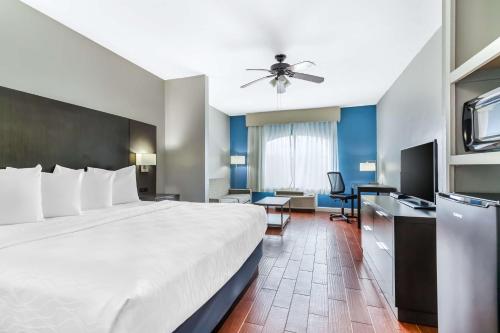 拉瓦卡港波特拉瓦卡贝斯特韦斯特就的酒店客房设有一张大床和一张书桌。