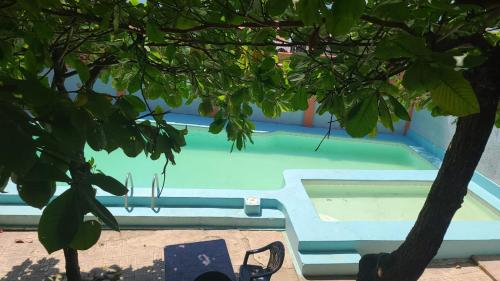 拉利伯塔德Longboard Hotel的绿树旁的蓝色游泳池