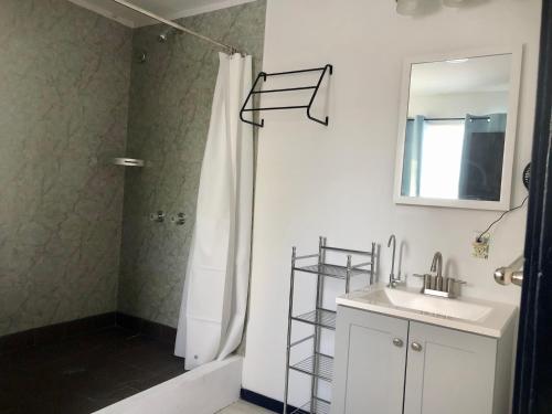 叶盘Island Hopper的带淋浴、盥洗盆和镜子的浴室