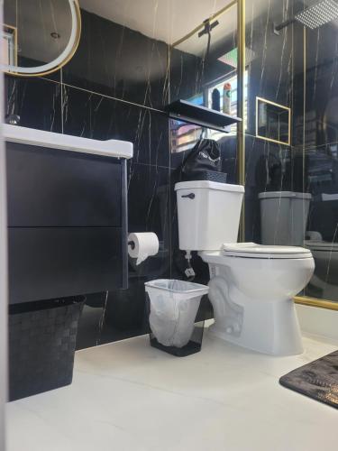 马亚圭斯Vadi's Lux, Wi-fi, coffe, tea, parking, laundry room.的一间带卫生间和黑色墙壁的浴室