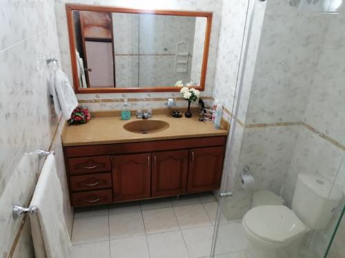 La SerenaAPARTAMENTO CAMPESTRE CHINAUTA的一间带水槽、镜子和卫生间的浴室