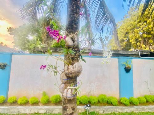 阿鲁特伽马Villa Riverside的鲜花墙前的棕榈树