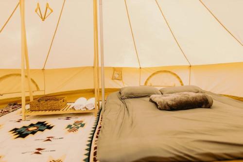 保禄The Homilá Bảo Lộc - Hill View Bungalow & Glamping的房间里的帐篷里的一张床位