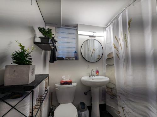 蒙特利尔bedford - Urban escape的一间带水槽、卫生间和镜子的浴室