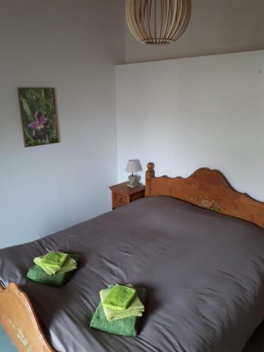 MarignyLes Orchidées的一间卧室配有一张带绿毛巾的床