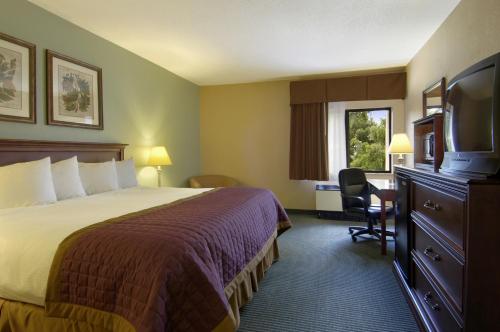 切罗基Bay Mountain Inn Cherokee Smoky Mountains的配有一张床和一张书桌的酒店客房