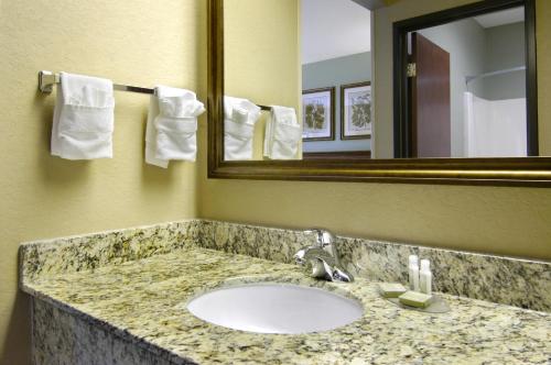 切罗基Bay Mountain Inn Cherokee Smoky Mountains的一间带水槽和镜子的浴室