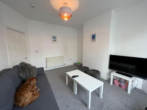 滨海圣安娜New Flat in Lytham St Annes - Sleeps 4的客厅的沙发上躺着狗
